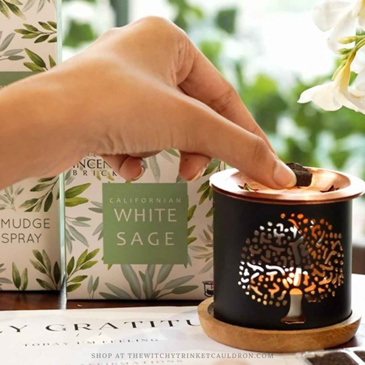California White Sage Smokeless Incense Bricks - Image 2